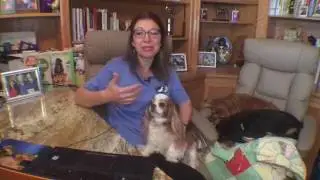 Dealing with Storm Anxiety