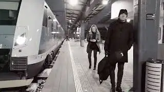 Train You Never by Shadowplay feat. Phoenix on Fire 
