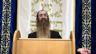 ״נביא שמואל ב פרק ה-ו ״ הרב לוי פלדמן