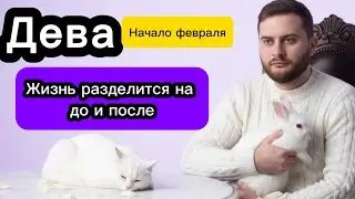 Дева - Начало февраля.  Таро. Жизнь разделится на до и после 