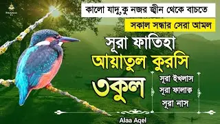 সূরা ফাতিহা আয়াতুল কুরসি ৩কুল | Surah Fatiha Ayatul kursi 3qul | quran recitation | Alaa Aqel |