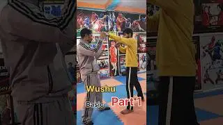 Wushu Basic Part 1 #shorts #viral #wushu #video #sports #videi #india #fight