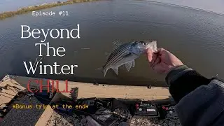 Chasing a Winter Striper Bite (California Delta)