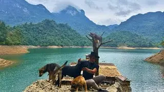 Life on a farm on the water. Repairing floors and caring for livestock.