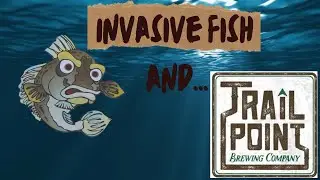 Invasive fish and Trail Point Brewing in Michigan