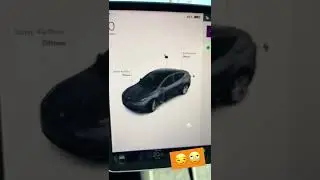 TESLA MODEL Y PROBLEME MIT LTE NETZ AUF (2022.4.5.11) 😳☹️🔋⚡️