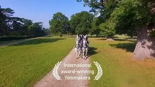 Wedding Showreel | 2020 Award-Winning Wedding Videographer | Bloomsbury Films &reg;