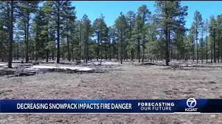 Forecasting Our Future: Snowpack and Wildfires