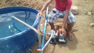 sistema de adubação do milho