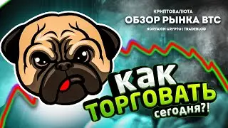 Биткойн пролился, как торговать дальше? Путь от работяги до миллионера. Криптовалюта корякинблог.
