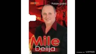 Mile Delija - Prolaze godine (Audio 2008)