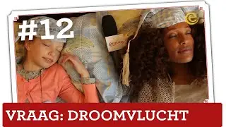 Hoeveel elfjes zijn er in Droomvlucht? - Vraag 't de Efteling