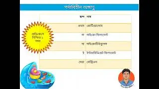 পর্দাবিহীন কোষ অংগাণু(membraneless organelles)#meditricks#biology#ssc#hsc