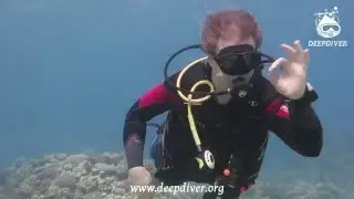 Последний день зимы с Deepdiver