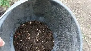 Тест почвы на водопроницаемость.