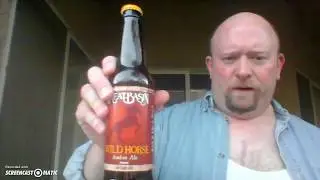 Vegas Beers Great Basin Wild Horse Alt Style Amber Ale 12 oz bottle
