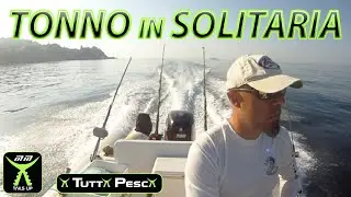 Pesca a Drifting al Tonno in solitaria: abboccata in diretta e rilascio