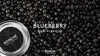 Bonche New Flavour: Blueberry