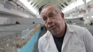Ustawa odorowa ma chronić interesy miastowych