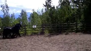 CLIP0072