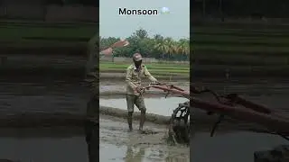 Summer Vs Monsoon | Farmer Aspirant