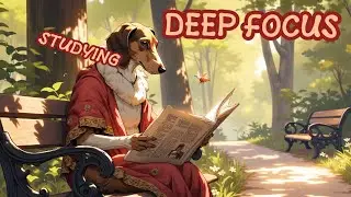 🎵 LoFi Study & Work Music | Focus Without Distractions | Deep Focus Music
