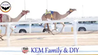 One Million Dollar Camel Race Part 1