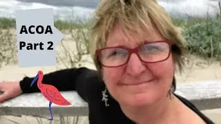 ACOA (Adult Children of Alcoholics) Part 2: The Shame/Blame Cycle