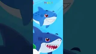 Baby Shark Family hunt Shrimp | Baby Shark Song