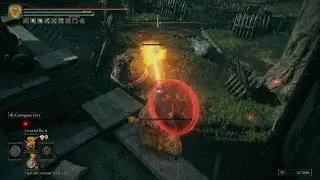 ELDEN RING Jellyfish shield buff stops fire from doing damage