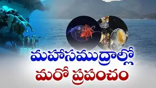 మహాసముద్రాల్లో కొనసాగుతున్న కొత్త జీవరాశుల అన్వేషణ | Ongoing Search for New Organisms in Oceans