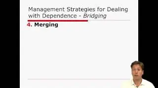 13   8   Lecture 16   Resource Dependency Theory   Part 2 1858