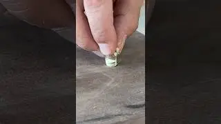 Plugging the damn hole! 😂#magic #woodworking #woodplug