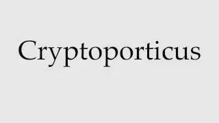 How to Pronounce Cryptoporticus