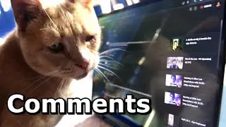 Comments and Stories on Social Media