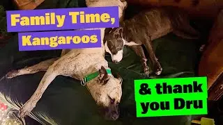 Family Time, Kangaroos, Bath Time, Thank You Dru for the Delivery