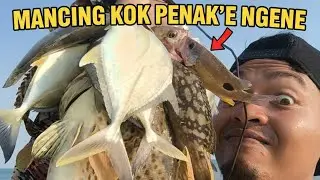 Mancing di kapal Hantu Saat Cuaca Bagus (penak'e Ngene) #fishing 