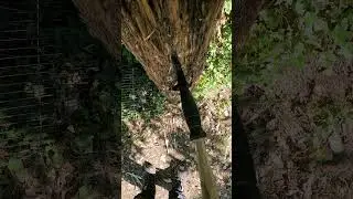 Glock Field Knife Survival Heck