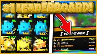 What Does The Inventory Of The #1 PLAYER In Tapping Legends Final Look Like?