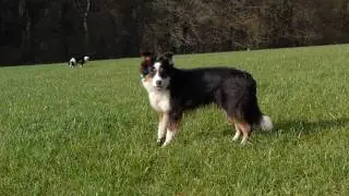Panasonic GH-1 + 14-45 OIS, Video test, Shutter Speed 1/60s