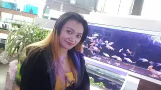 PETSHOPPE BUY FISH //NEW ALAGA AT HOME