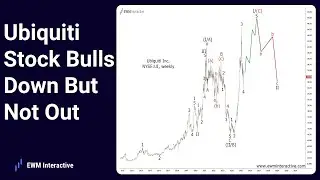 Ubiquiti Stock Bulls Down But Not Out