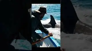 Animals Attack Zone: An intense moment at sea! Can the fisherman survive the shark attack?#animals