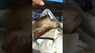 Beautiful Mom Clean Nails For Her Son