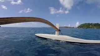 Polyn&eacute;sienne des Eaux - Etude acoustique par Eric BLIN