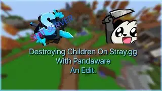 Destroying People On Stray.gg With Pandaware! | Montage On The WORST 1.19  FFA Server!