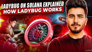 Ladybug Cash on Solana | Project Breakdown, Utility & Community