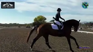 014D Andrea Baxter on Liefhebber YEH West Coast Championship 5 Year Old Dressage