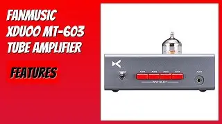 REVIEW (2026): Fanmusic xDuoo MT-603 Tube Amplifier. Features