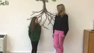 Rhaglen ddogfen Blwyddyn 6